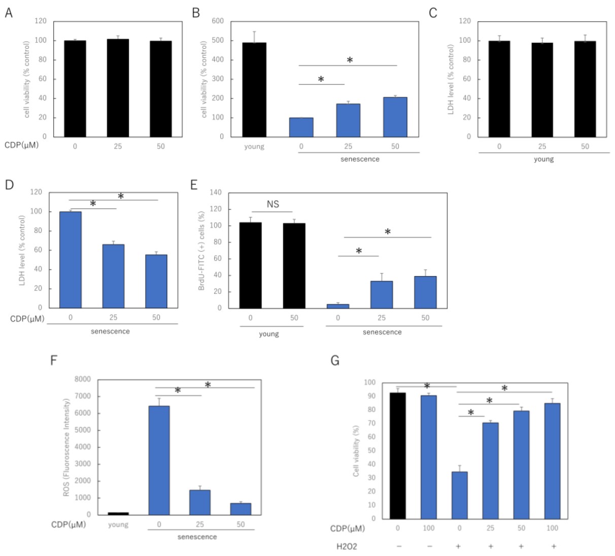 Cistanche deserticola polysaccharide (CDP) enhances viability, reduces ROS and LDH release, and protects senescent NHDFs from oxidative stress.
